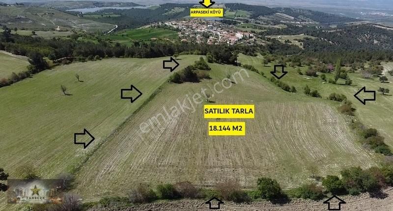 Kınık Arpaseki Satılık Tarla TANBERK DEN SATILIK TARLA 18.144 M2 ARPASEKİ DE