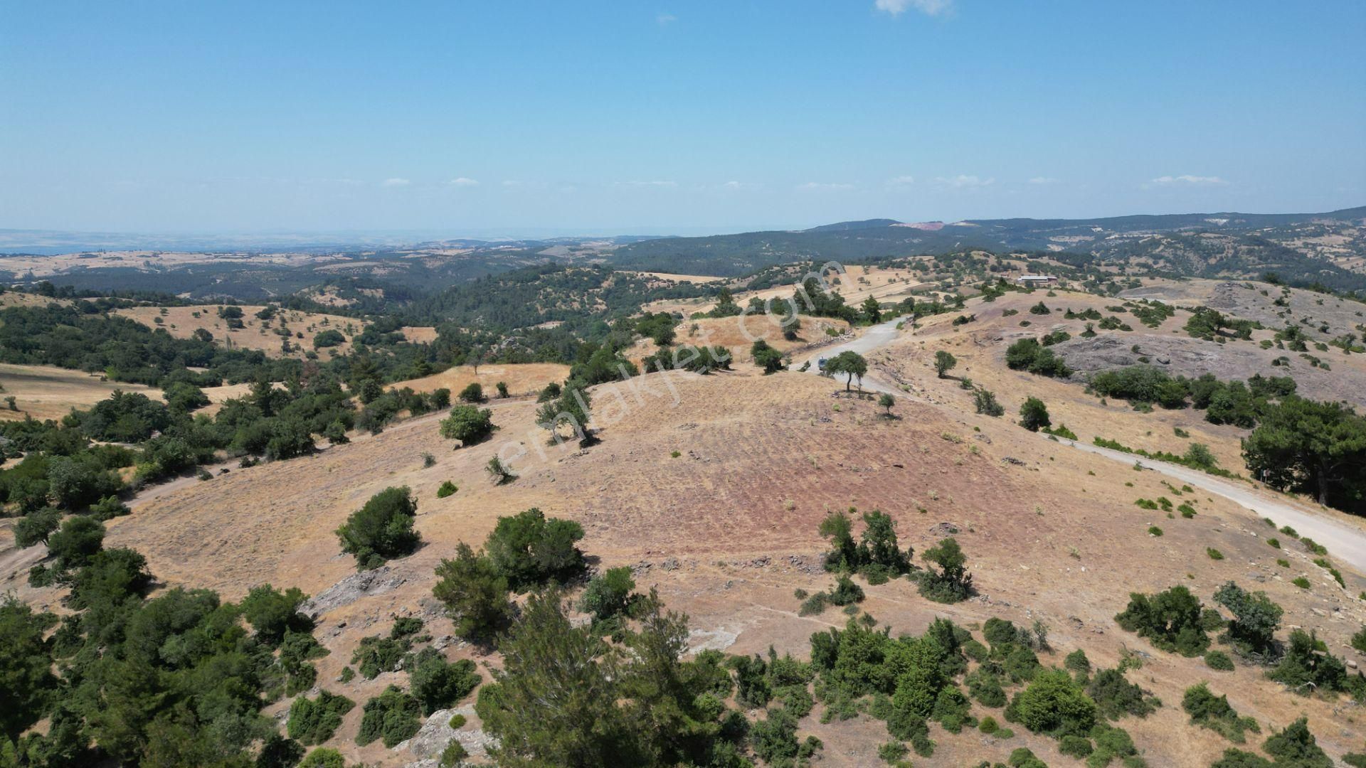 Lapseki Karaömerler Köyü Satılık Tarla  LAPSEKİ KARAÖMERLER KÖYÜ BAĞ EVİ YAPIMINA UYGUN 5.886 M2 TARLA