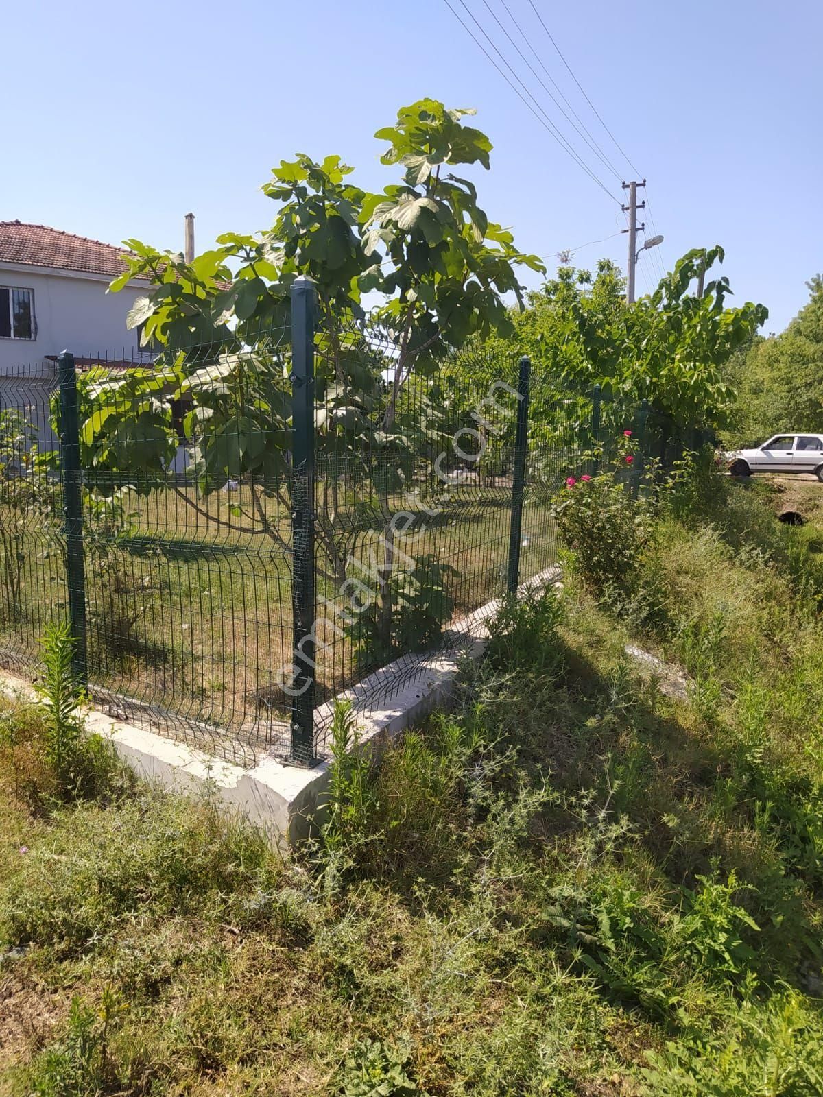 Çarşamba Kuşhane Satılık Müstakil Ev Samsun Çarşanba Kuşhane Mah 2 Katli Çiflık Evi Ve10 Dönum Findik Bahcesi Satılık Acıl