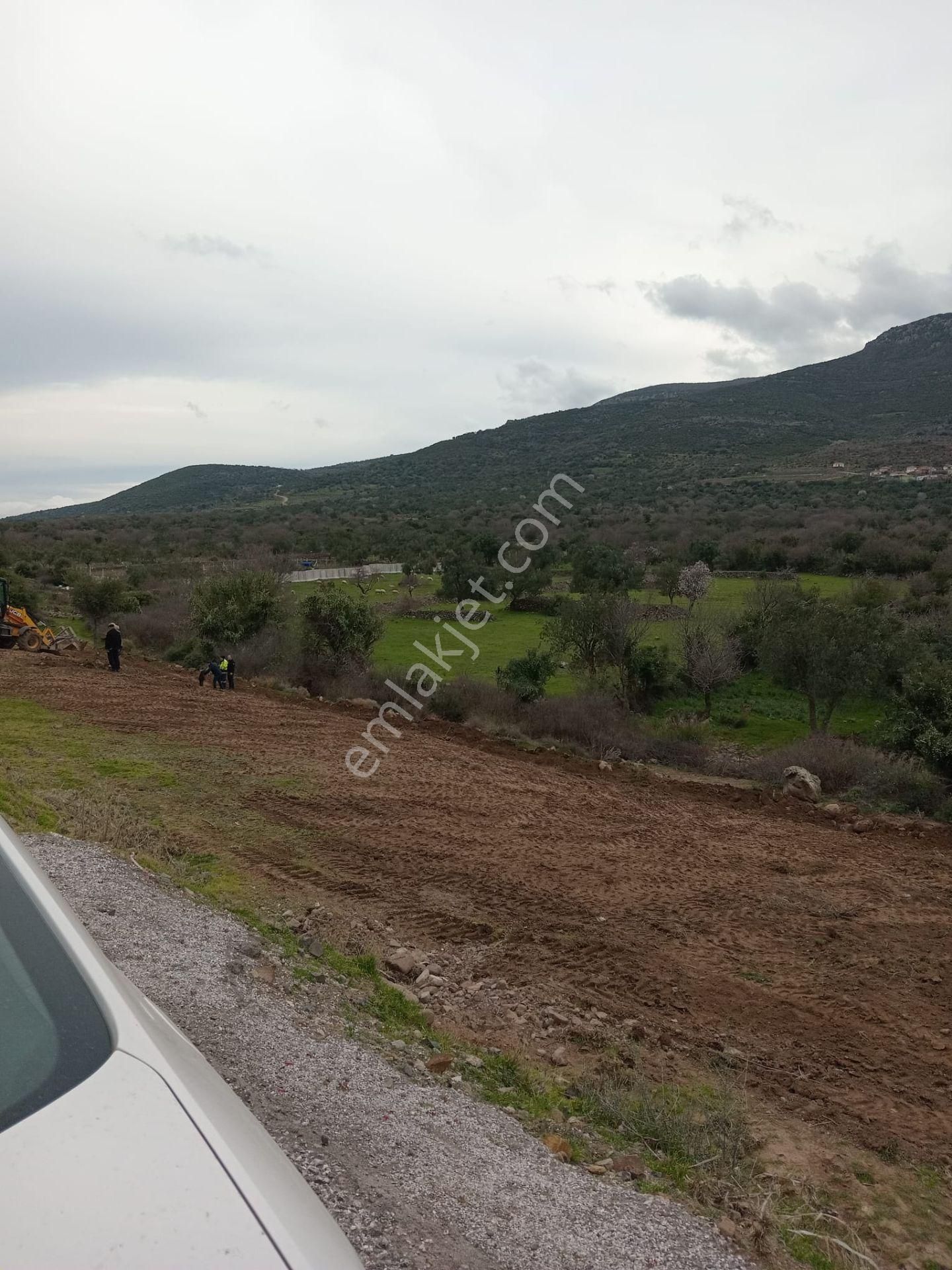 Aliağa Karakuzu Satılık Tarla Karakuzu'da Bulunan Satılık Tarla