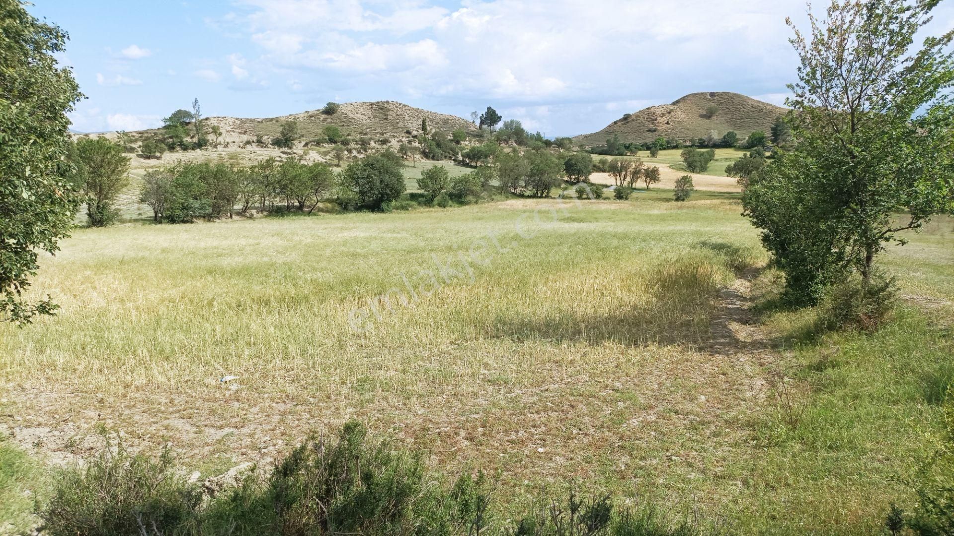 Osmancık Şenyurt Satılık Tarla  OSMANCIK ŞENYURT MAHALLESİNDE YATIRIM İÇİN KAÇIRILMAYACAK FIRSAT 7500m2 TARLA