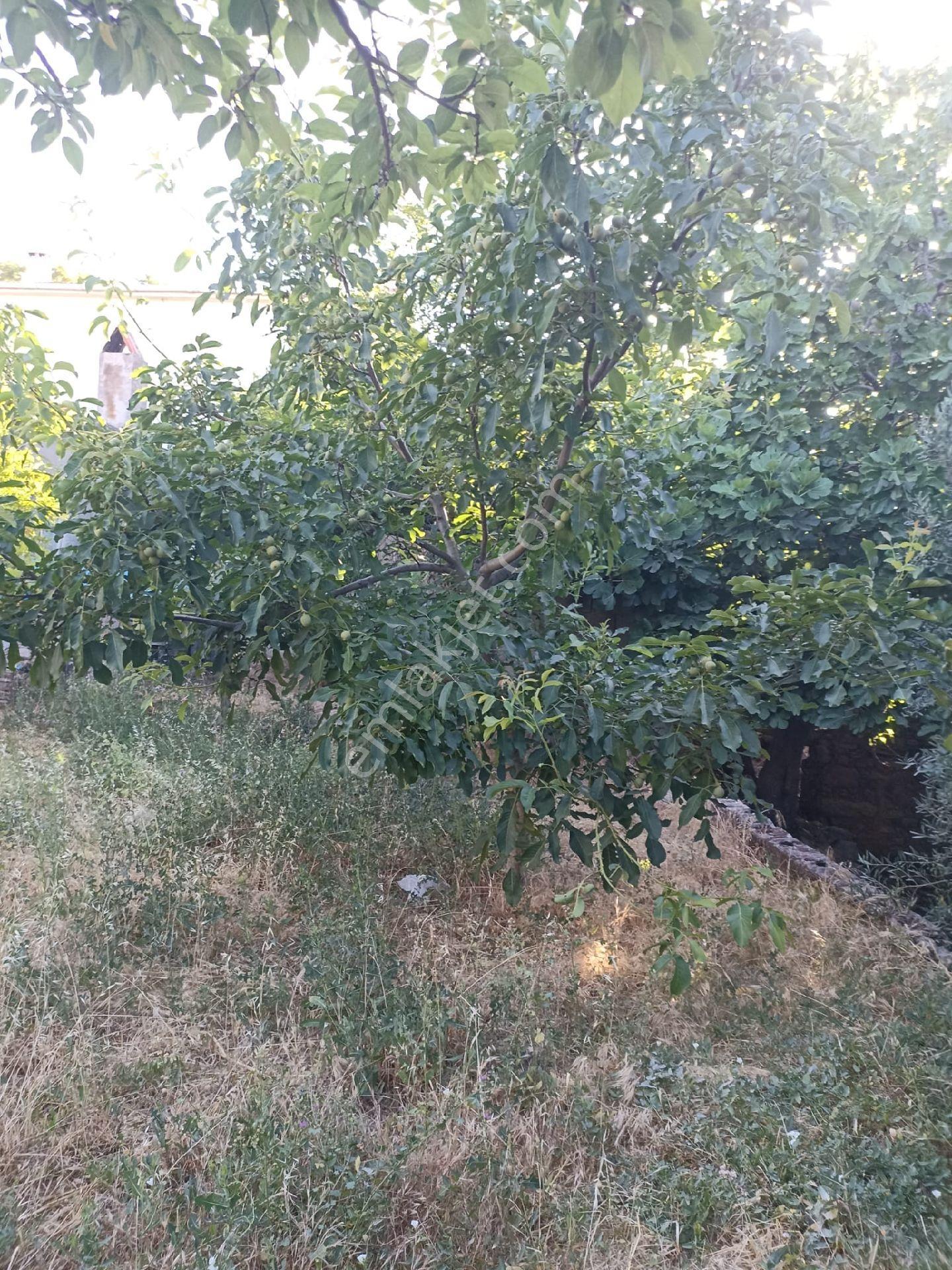 Bergama Kozak Kaplan Mah Satılık Köy Evi - Görsel 9