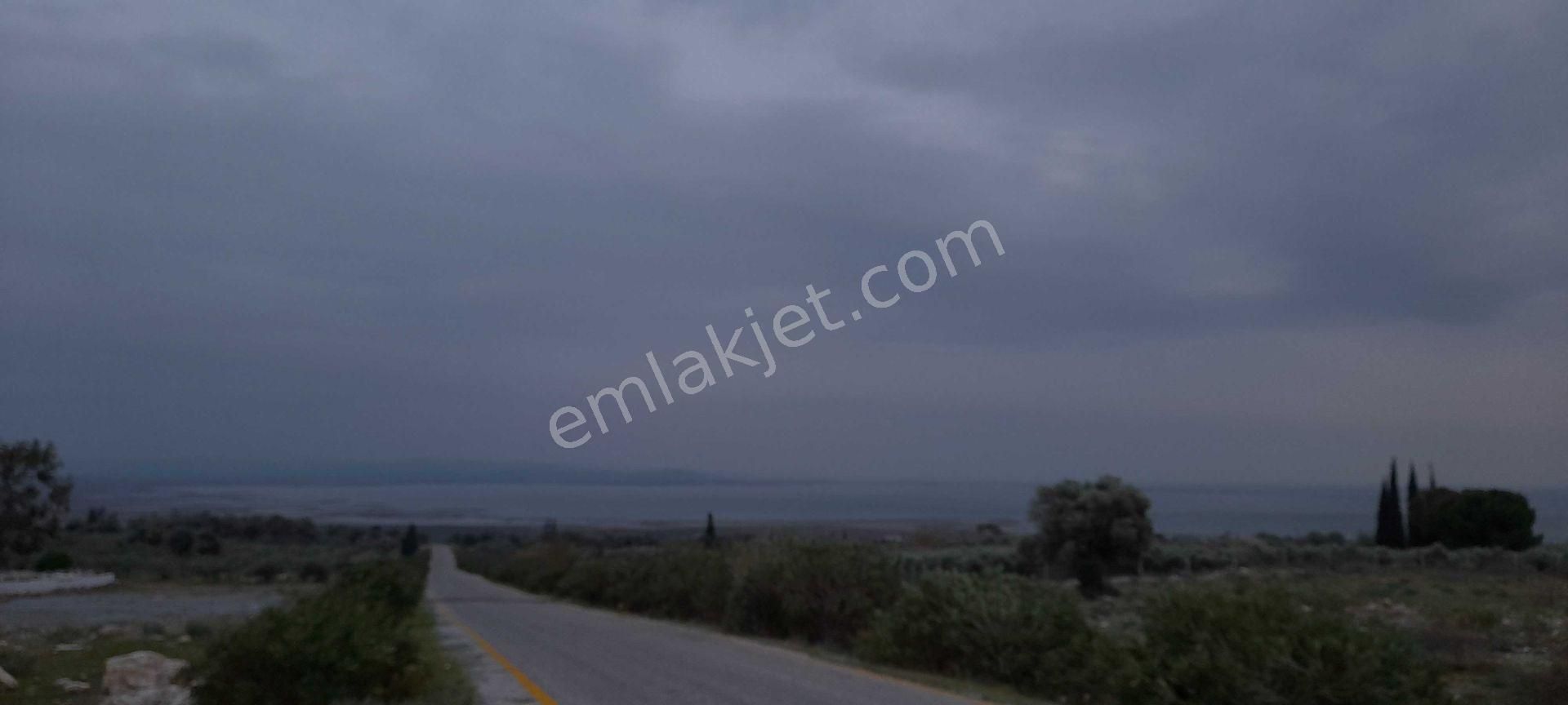 Eski Doğanbey'de Satılık Avlulu Taş Ev ( Harabe ) - Görsel 6