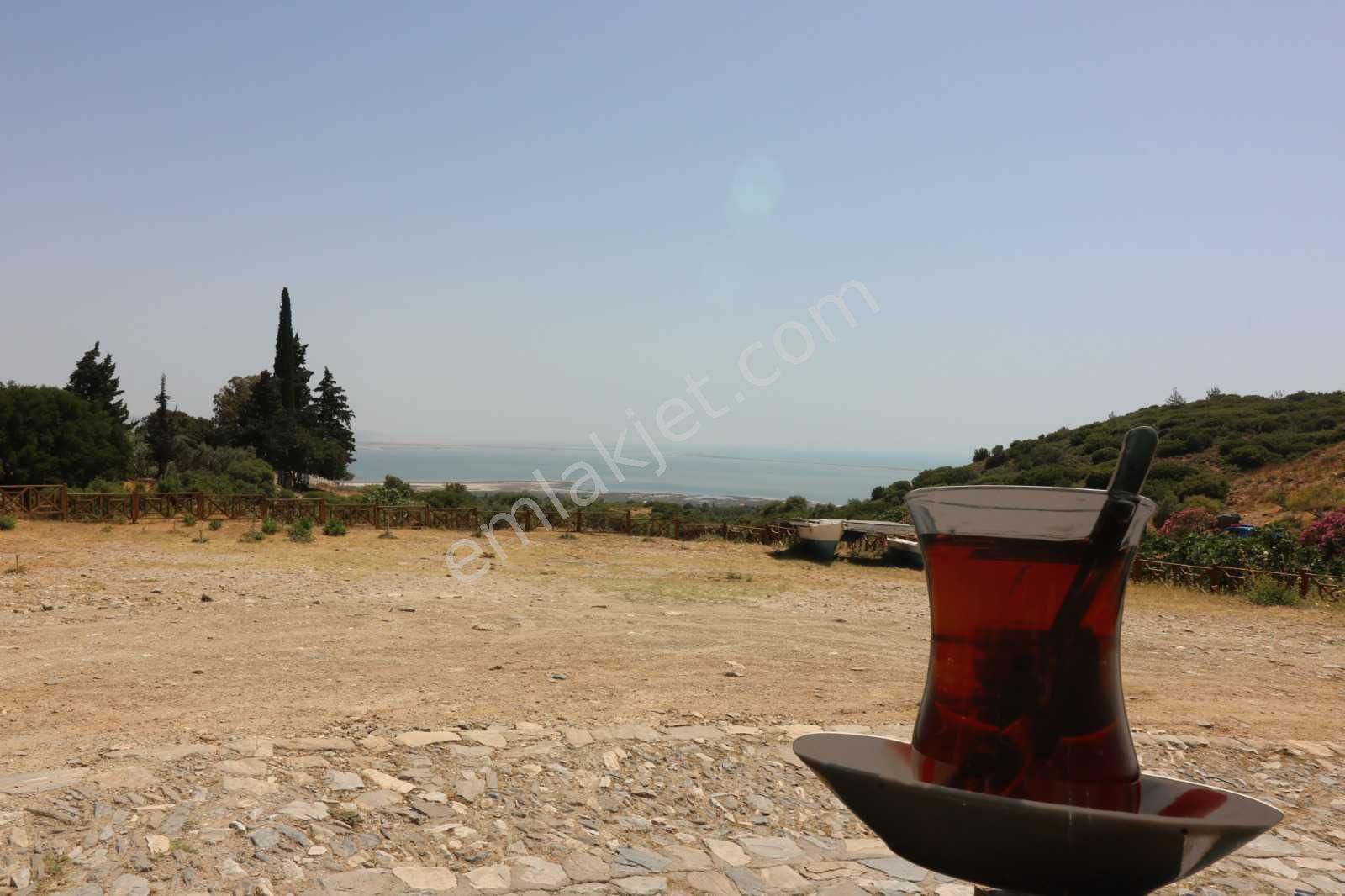 Eski Doğanbey'de Satılık Avlulu Taş Ev ( Harabe ) - Görsel 3