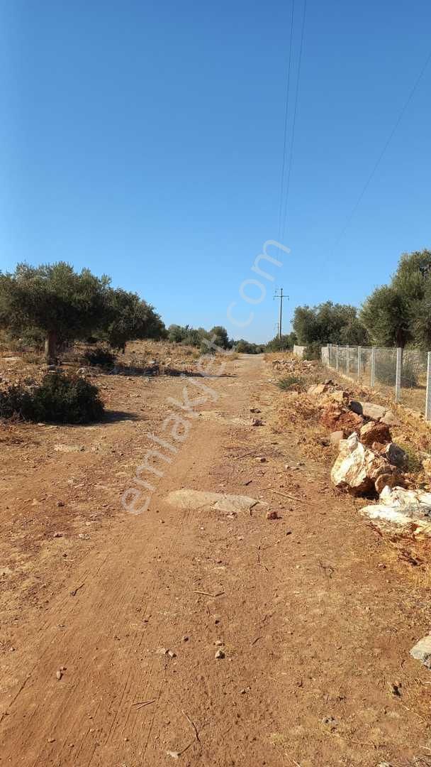 Balovada Villa Projesi Hazır 500 M2 Arsa - Görsel 10