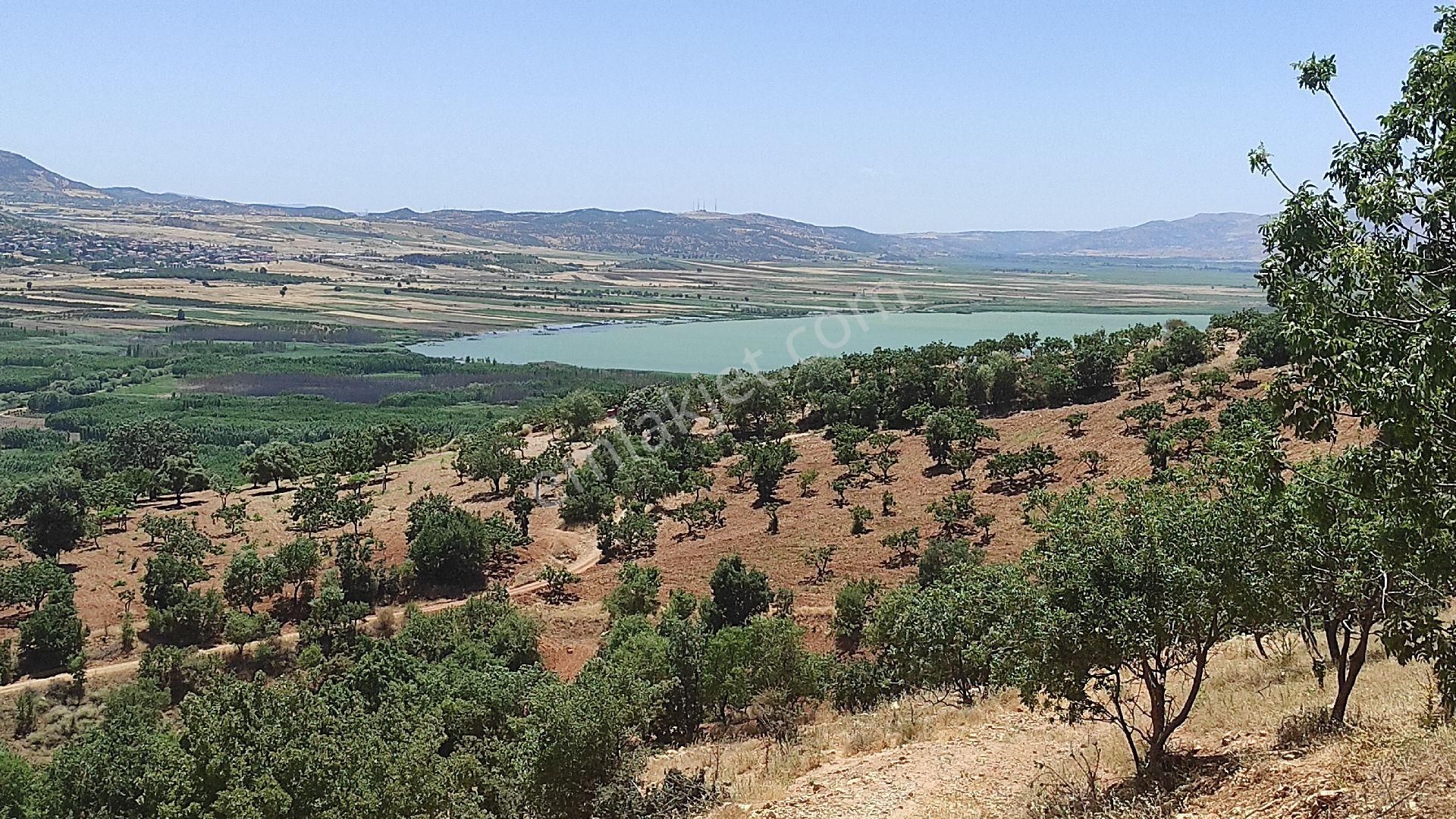 Gölbaşı Karaburun Köyü Satılık Bağ & Bahçe GÖLBAŞI ÇAĞLAR EMLAKTAN SATILIK FISTIK BAHÇESİ 35 DÖNÜM 