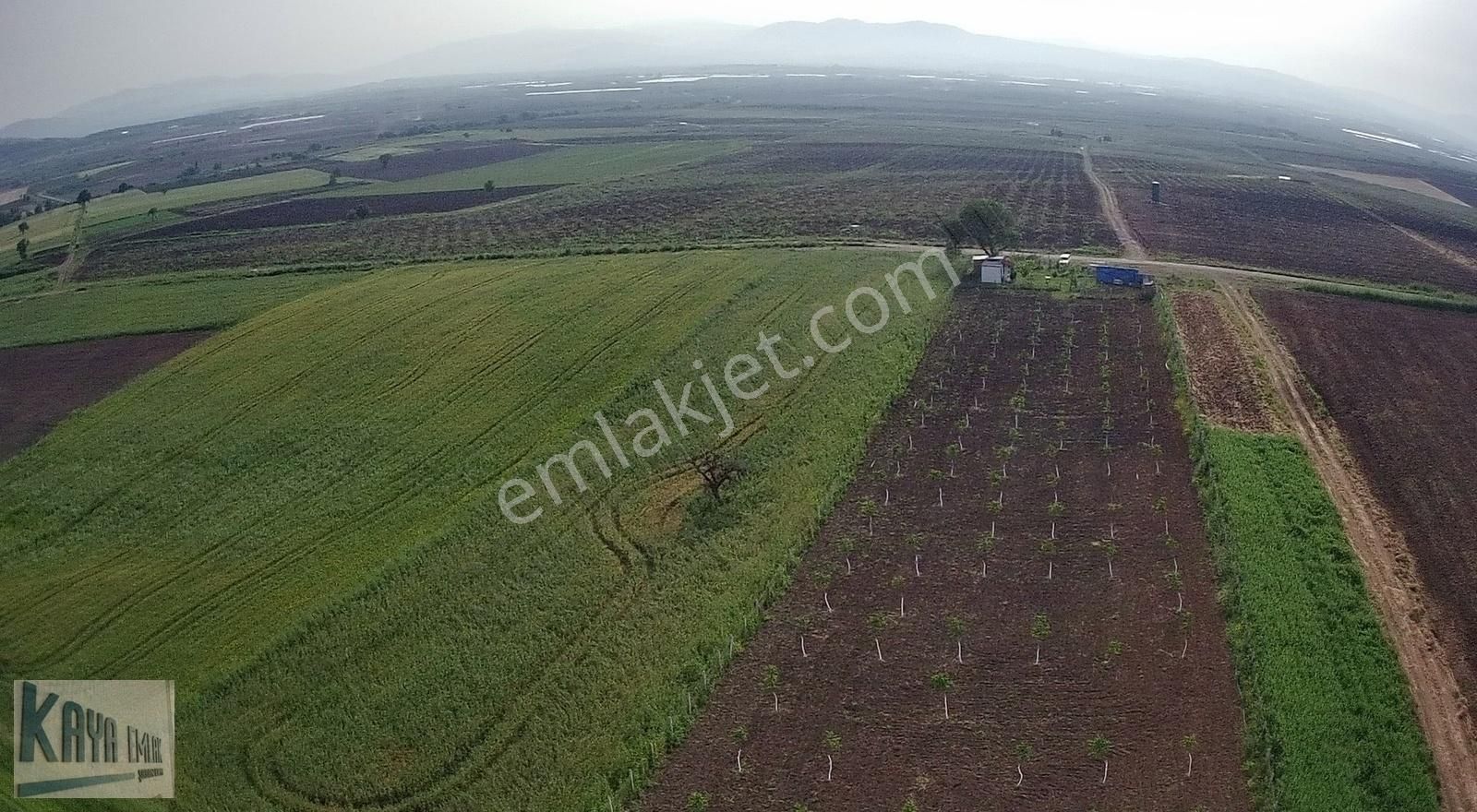 Gönen Osmanpazar Satılık Tarla Kaya Emlak Tan Ceviz Ve Meyve Bahçesi