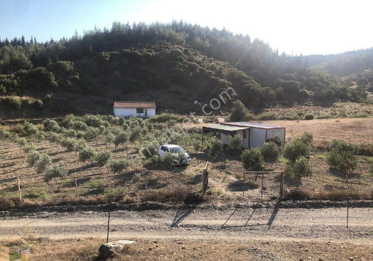 Seferihisar Orhanlı Köyünde Tarla Ve Konteyner - Görsel 4