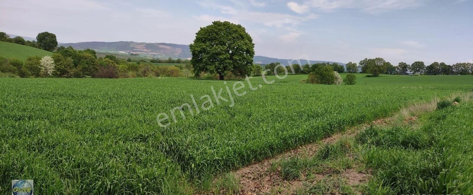 Gönen Hacıvelioba Satılık Tarla Gönen Hacıvelioba Köyünde 2.300 m2 Satılık Tarla