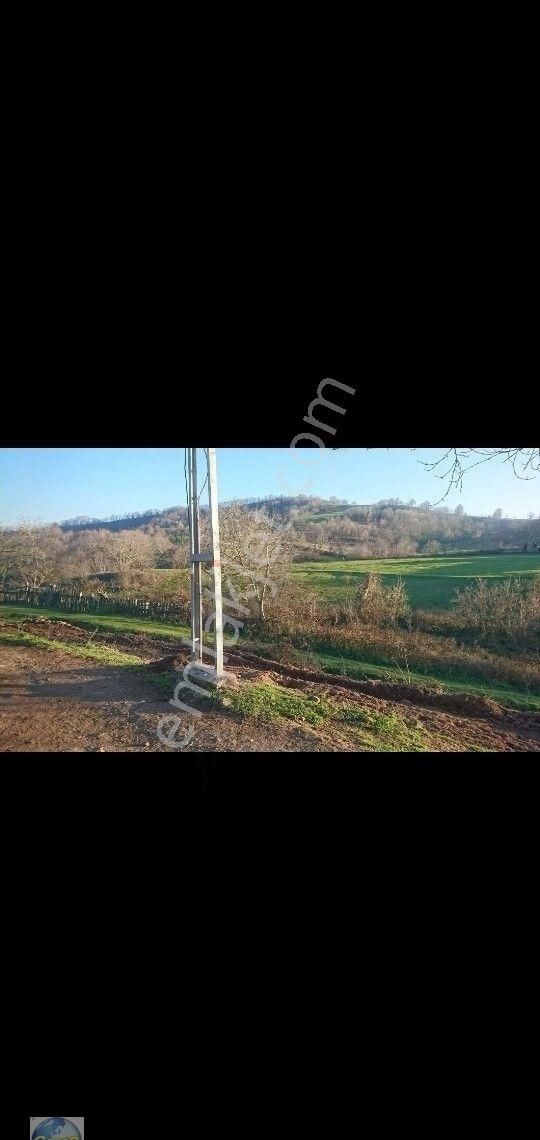 Yenice Bekten Köyü Satılık Bağ & Bahçe Gönen Beyoluk yatırımlık bahçe