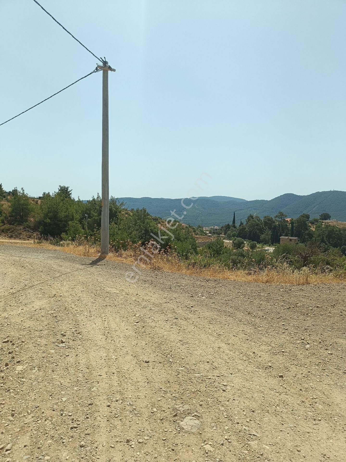 İzmir Seferihisar Eski Orhanlı Köyünde Satılık 710 M2 Satılık Zeytinlik - Görsel 9