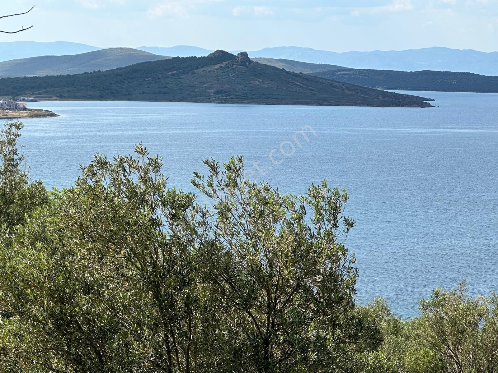 Ayvalık Namık Kemal Satılık Zeytinlik Ayvada'dan Ayvalık Cunda'da Deniz Manzaralı 3 Dönüm Bakımlı Zeytinlik