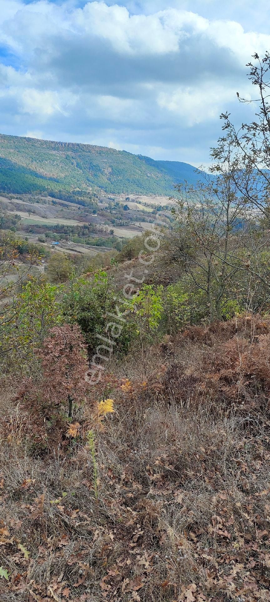 Sındırgı Yüreğil Satılık Tarla Atölye'den Sındırgı Yüreğil Merkeze Yürüme Mesafesinde 8954 M2 Tarla