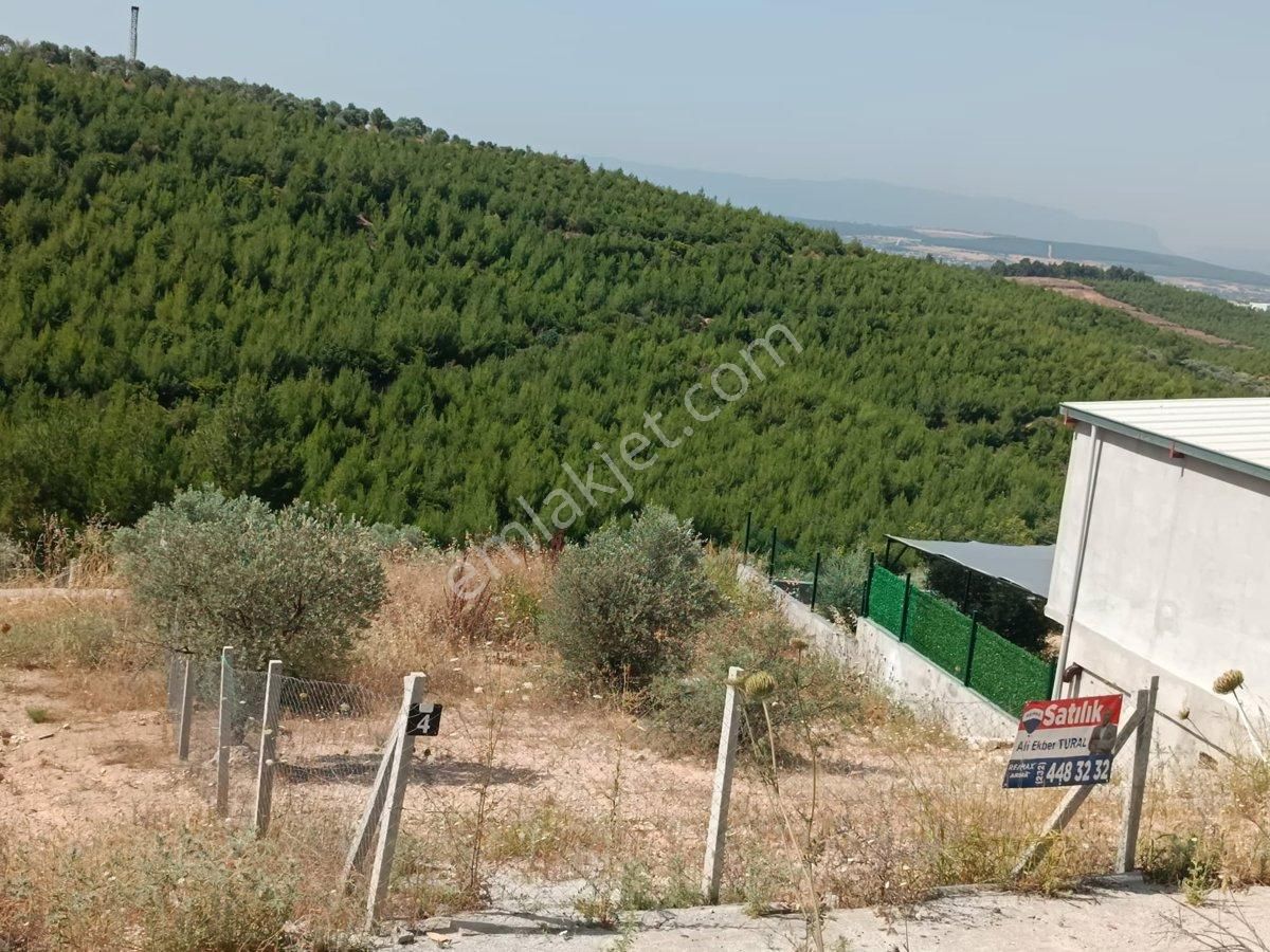 Buca Belenbaşı Satılık Tarla BUCA BELENBAŞI KÖYÜNDE SATILIK TARLA