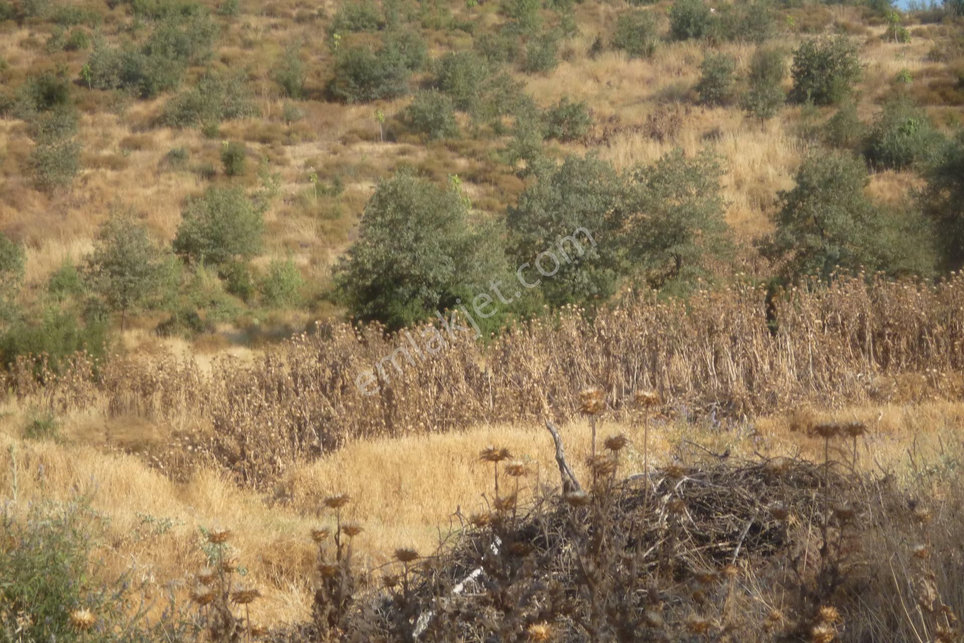 İzmir Torbalı Gold Emlaktan Tirede Satılık Tarla - Görsel 13