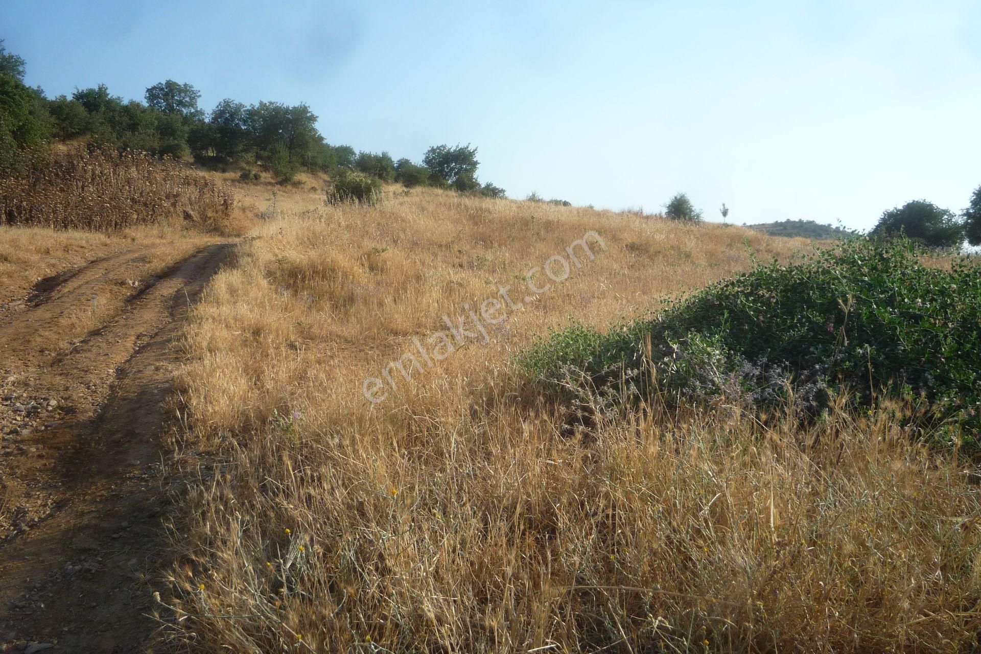 İzmir Torbalı Gold Emlaktan Tirede Satılık Tarla - Görsel 7