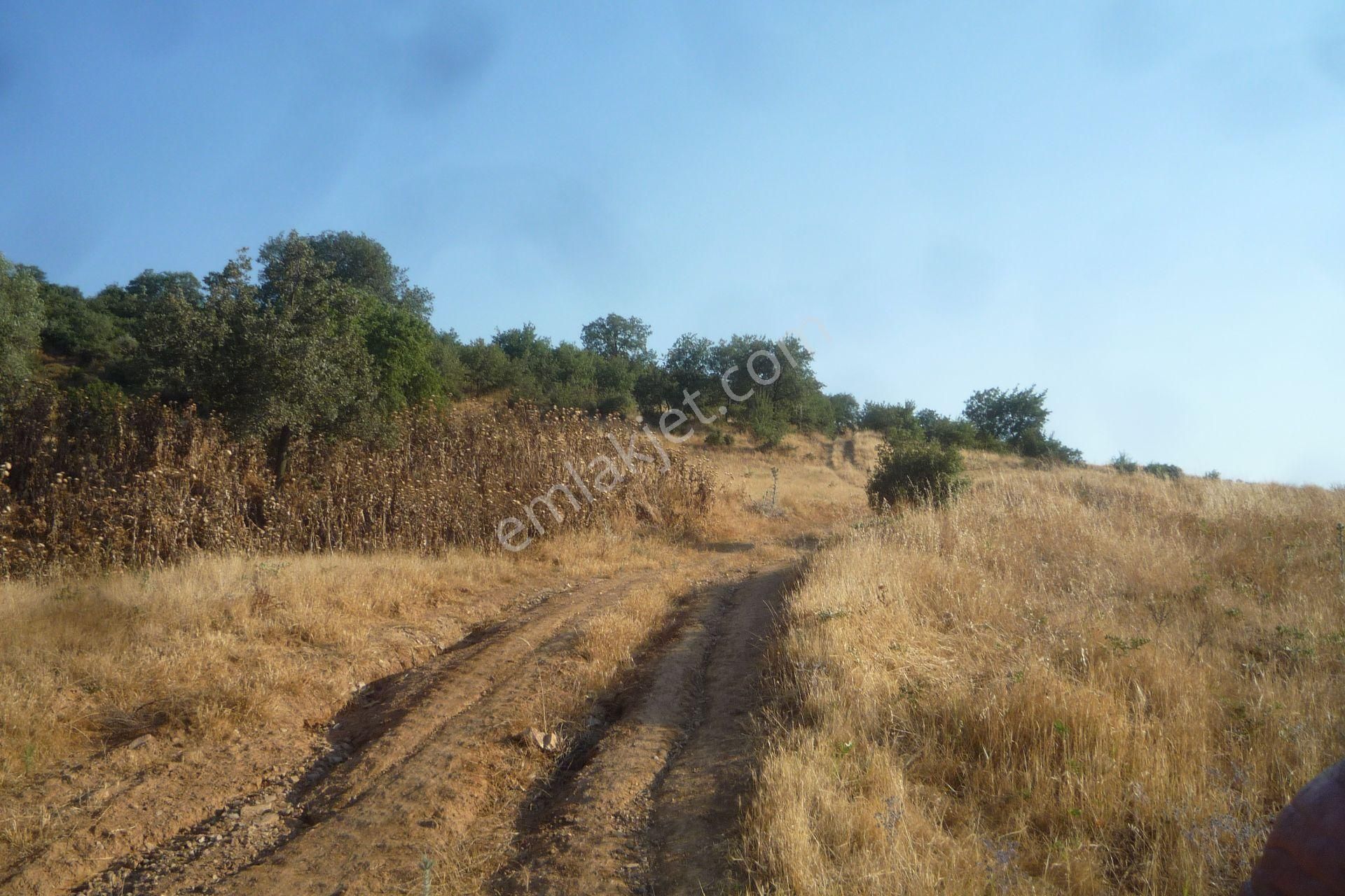 İzmir Torbalı Gold Emlaktan Tirede Satılık Tarla - Görsel 10