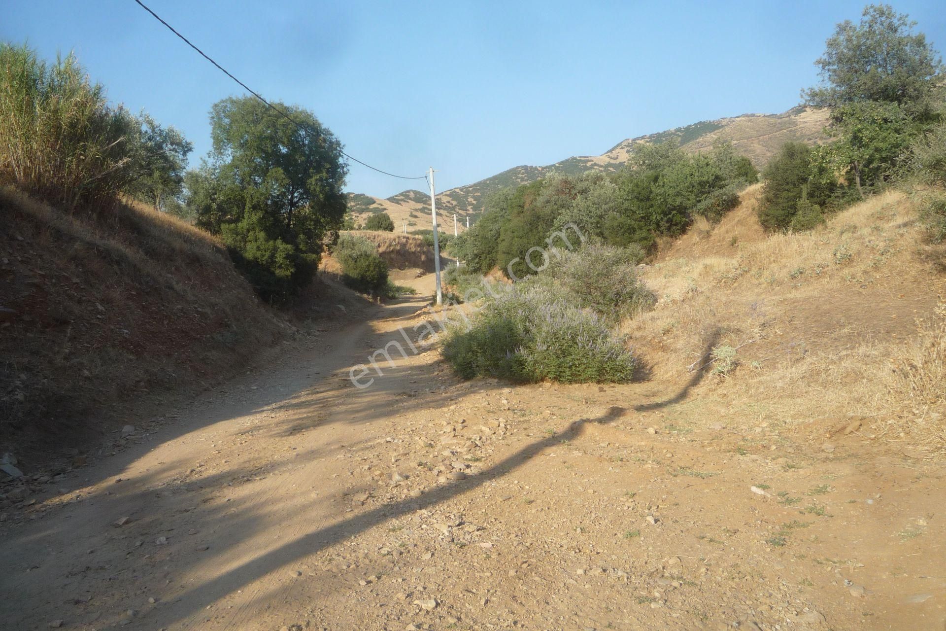 İzmir Torbalı Gold Emlaktan Tirede Satılık Tarla - Görsel 4