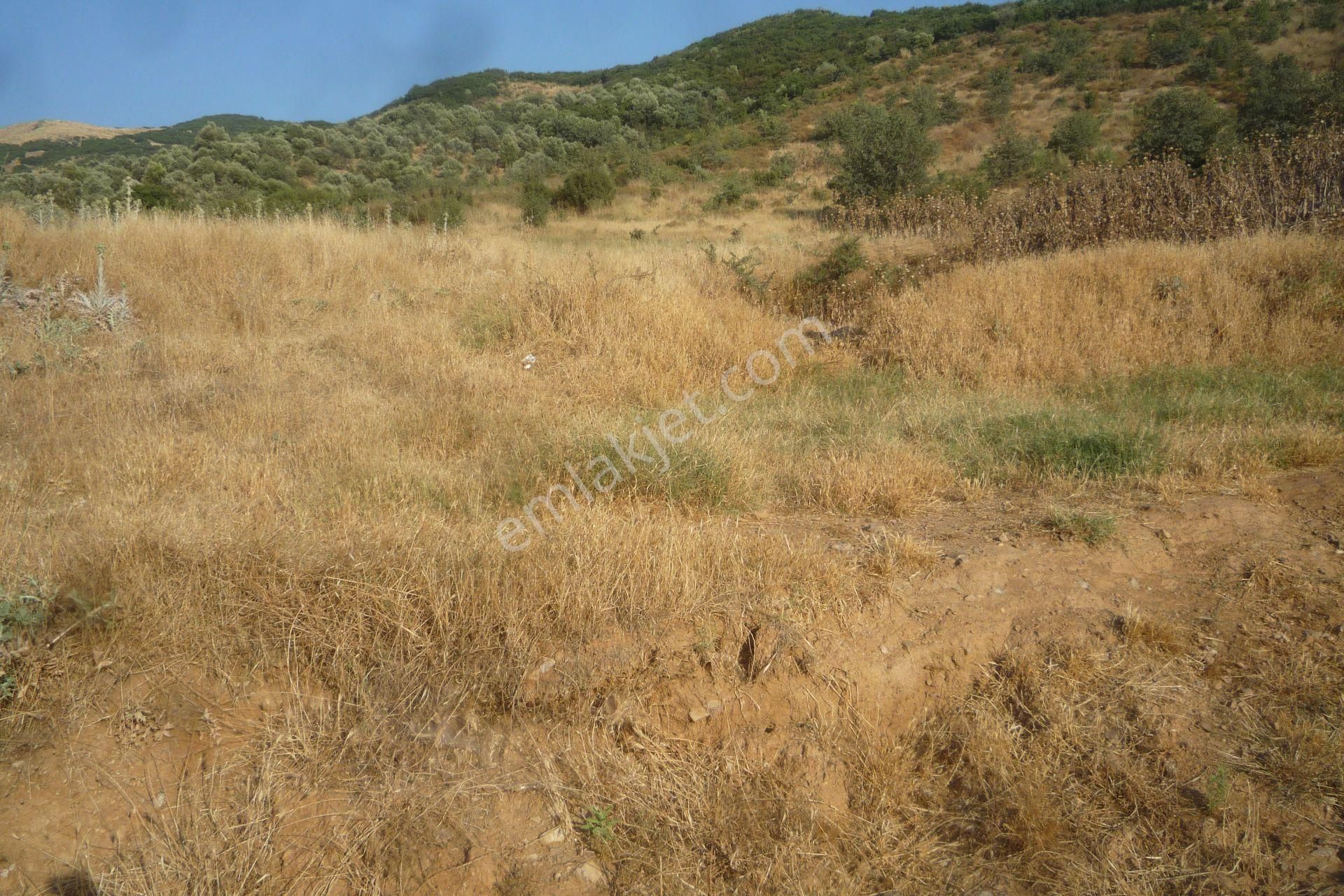 İzmir Torbalı Gold Emlaktan Tirede Satılık Tarla - Görsel 5