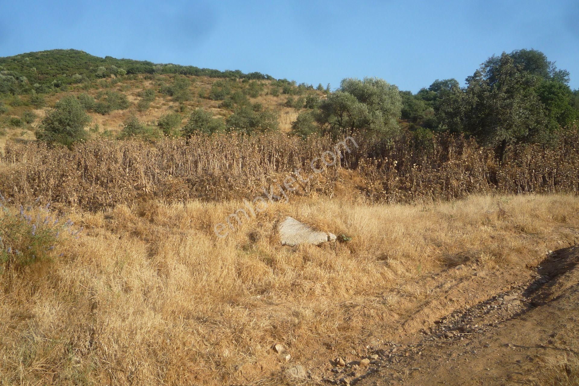 İzmir Torbalı Gold Emlaktan Tirede Satılık Tarla - Görsel 9
