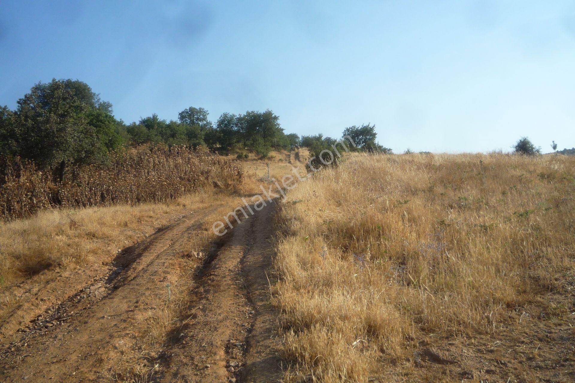 İzmir Torbalı Gold Emlaktan Tirede Satılık Tarla - Görsel 12