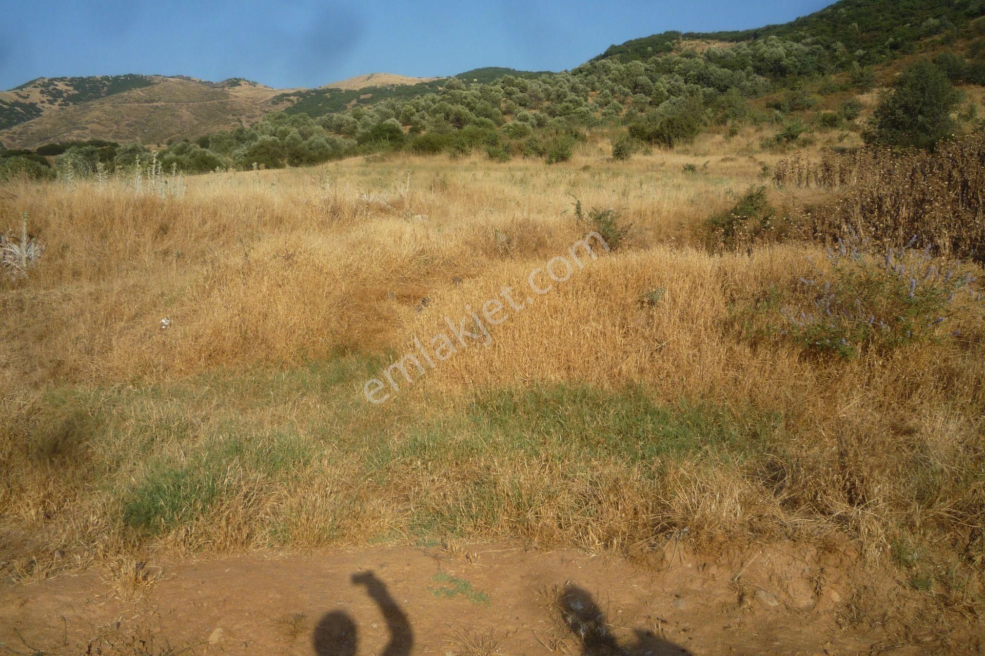 İzmir Torbalı Gold Emlaktan Tirede Satılık Tarla - Görsel 8