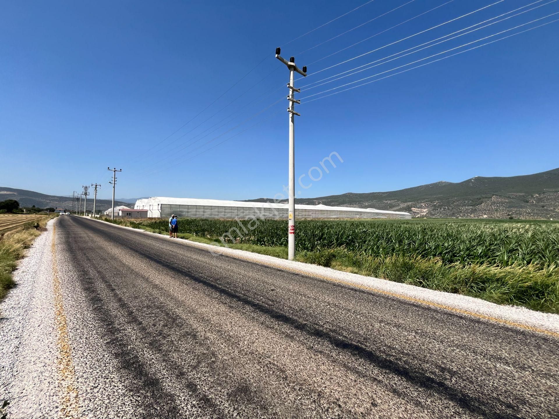 Muğla/milas/damlıboğaz Köyünde Yola Cepheli 2 Parsel Halinde Toplamda 20.504 M2 Satılık Tarlalar - Görsel 13