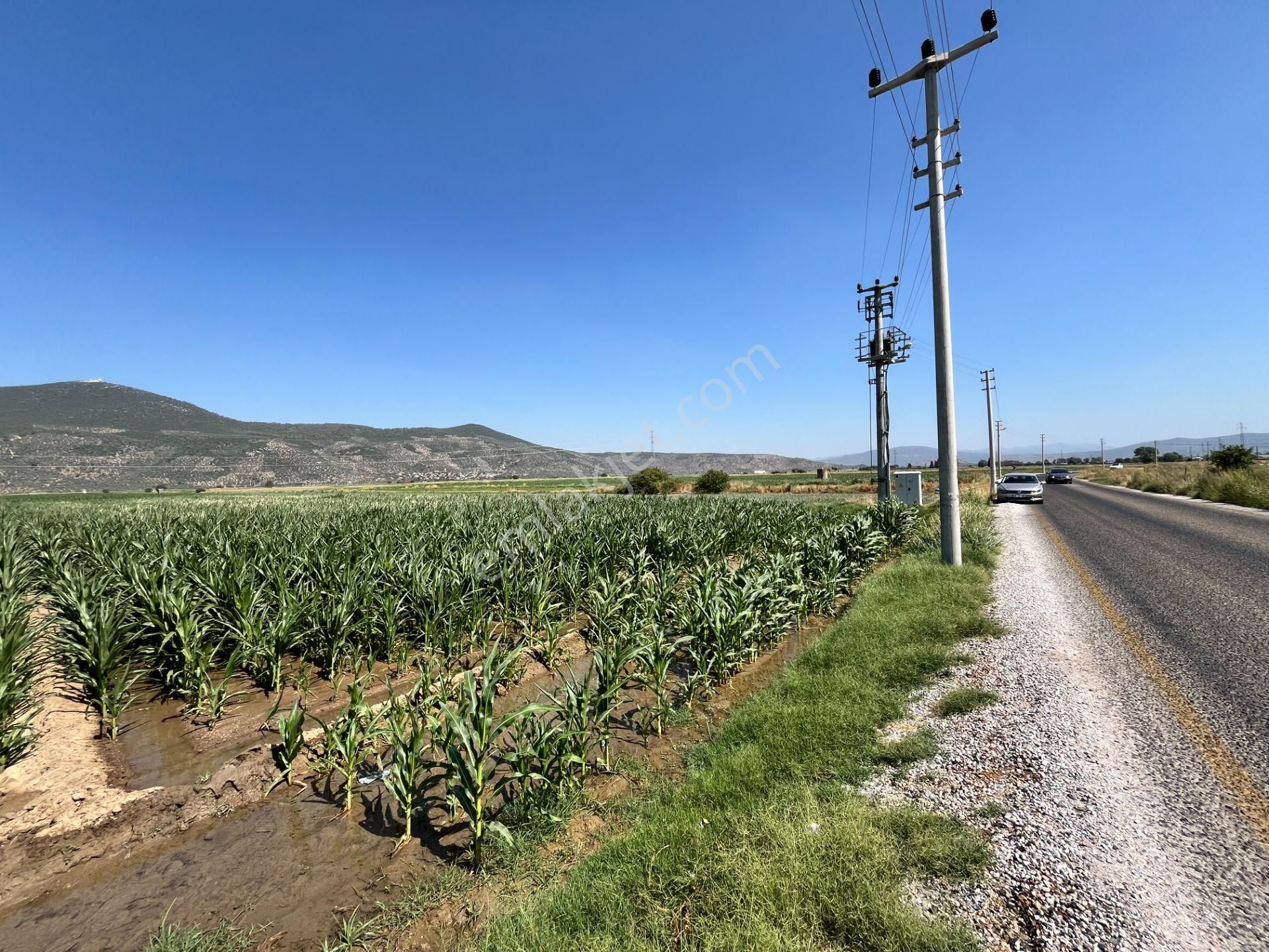 Muğla/milas/damlıboğaz Köyünde Yola Cepheli 2 Parsel Halinde Toplamda 20.504 M2 Satılık Tarlalar - Görsel 11