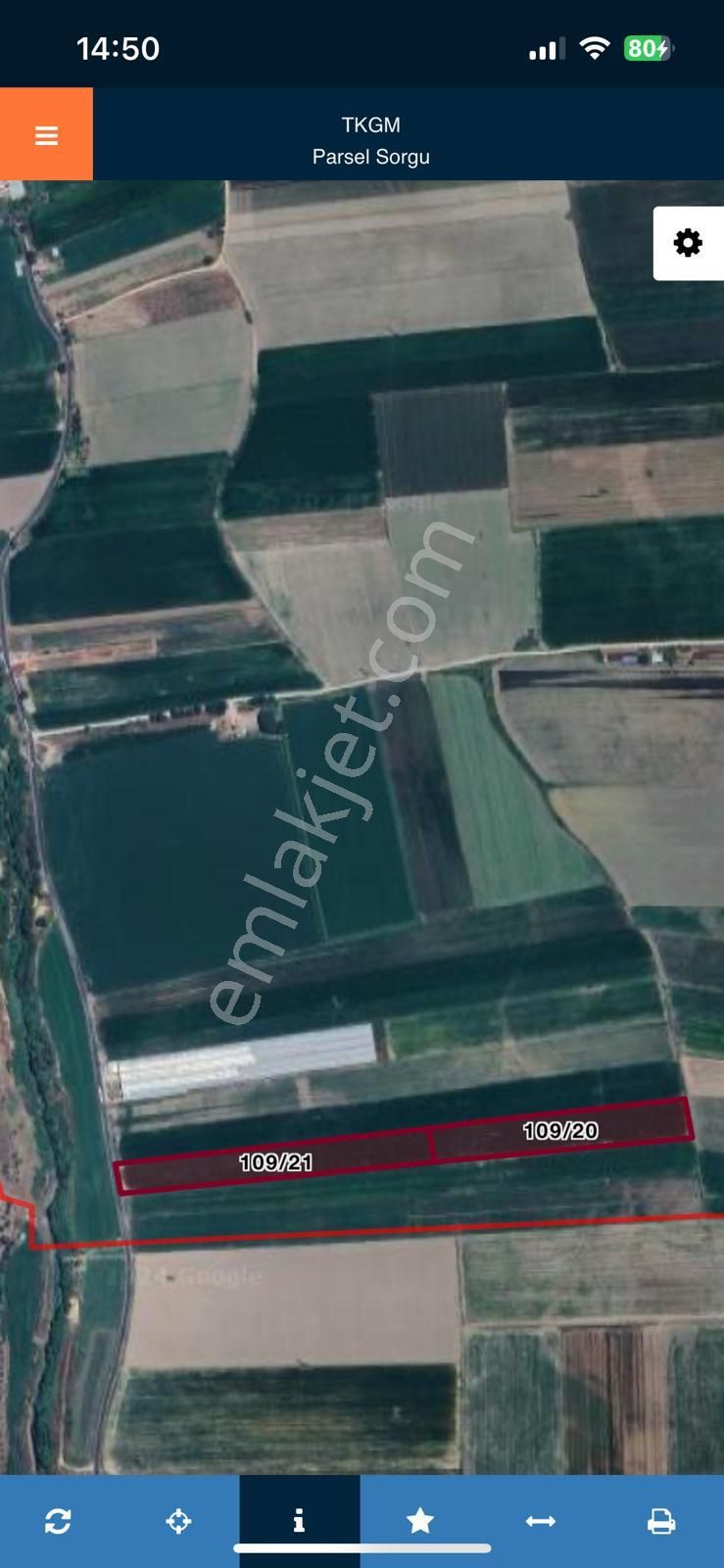 Muğla/milas/damlıboğaz Köyünde Yola Cepheli 2 Parsel Halinde Toplamda 20.504 M2 Satılık Tarlalar - Görsel 3
