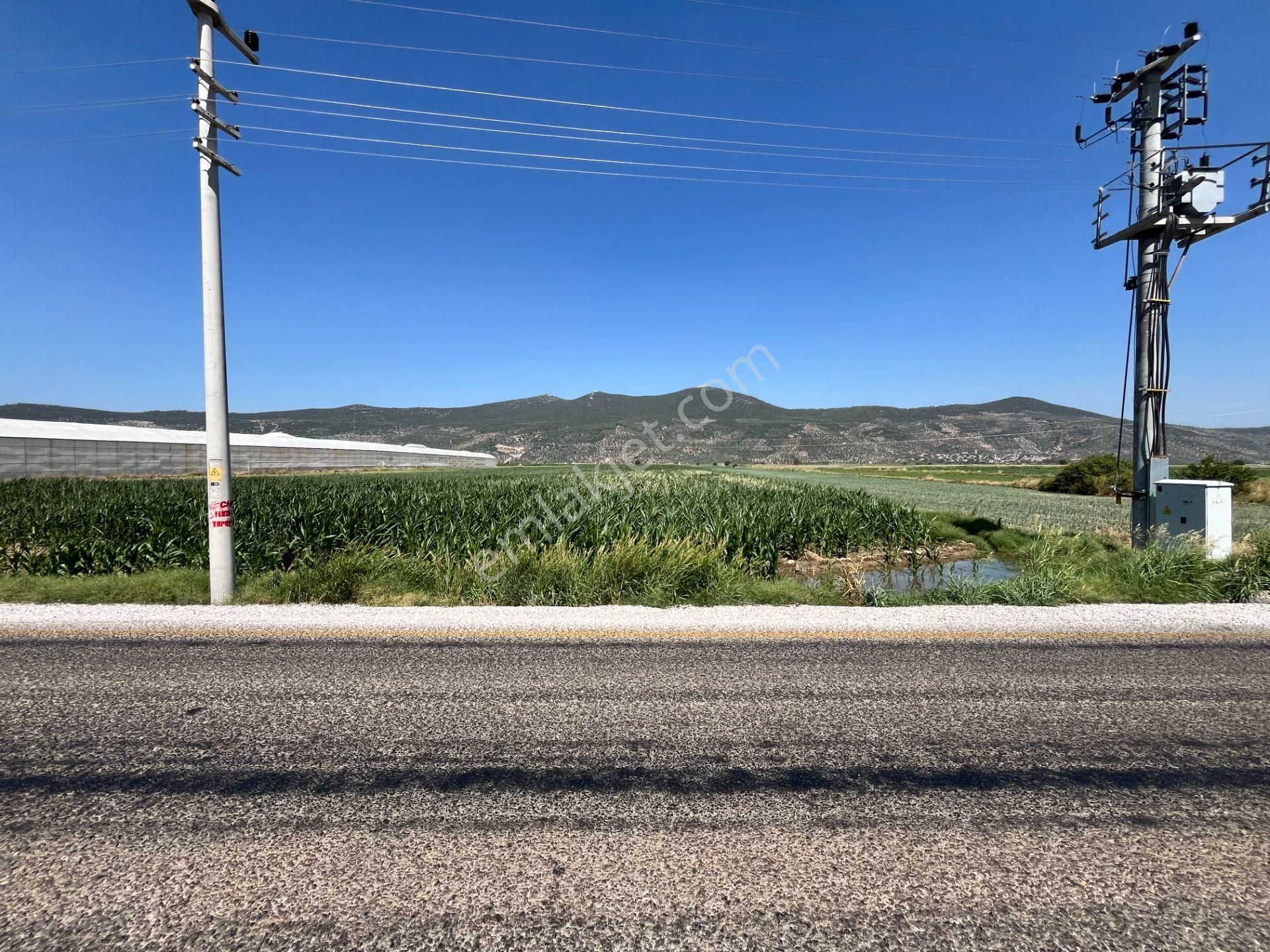 Muğla/milas/damlıboğaz Köyünde Yola Cepheli 2 Parsel Halinde Toplamda 20.504 M2 Satılık Tarlalar - Görsel 12