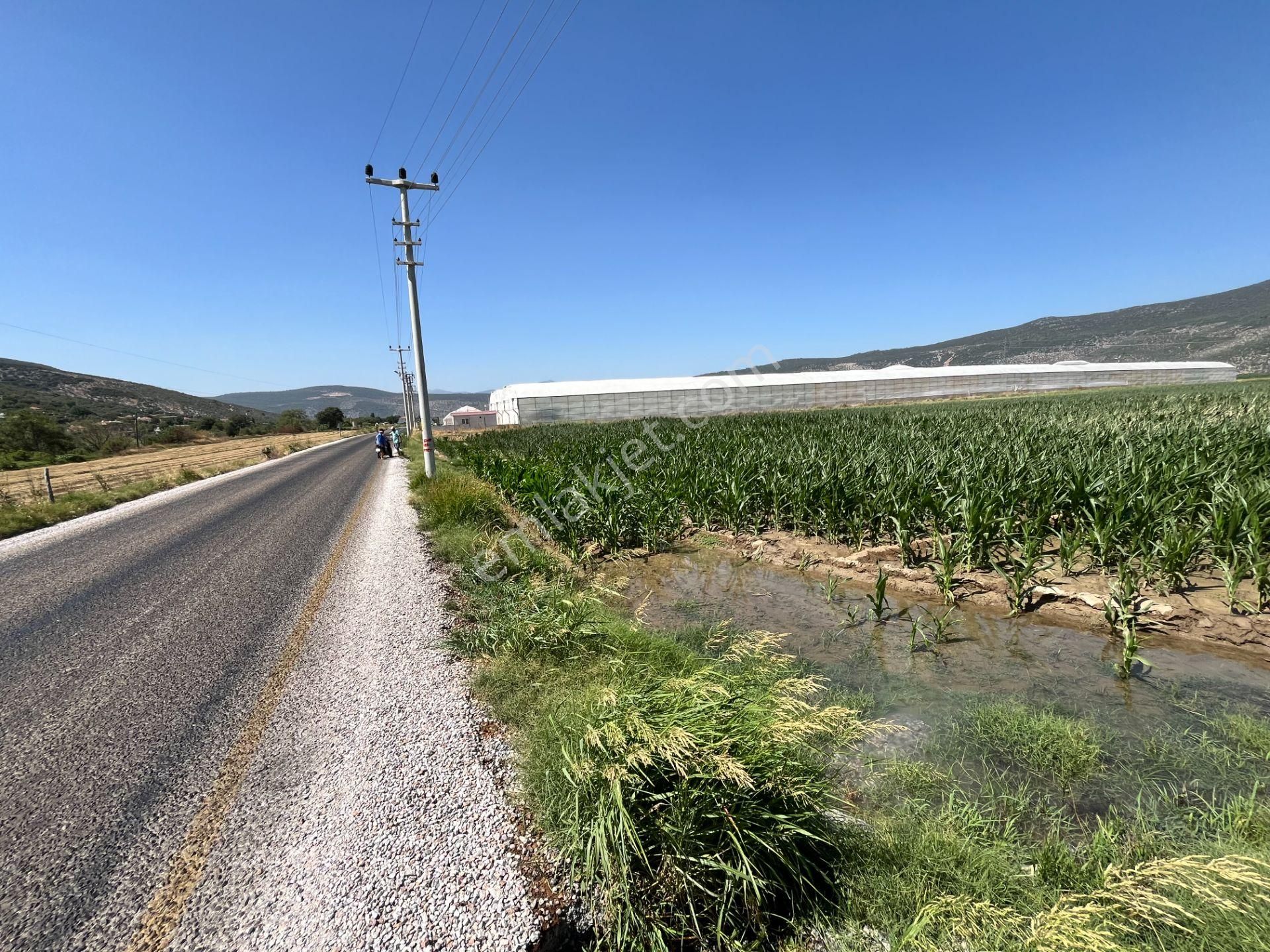 Muğla/milas/damlıboğaz Köyünde Yola Cepheli 2 Parsel Halinde Toplamda 20.504 M2 Satılık Tarlalar - Görsel 14