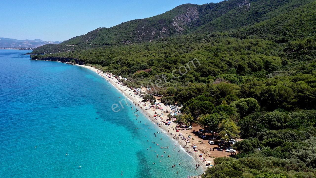Kuşadası Güzelçamlıda Anayola Sıfır Fırsat Arsa - Görsel 11
