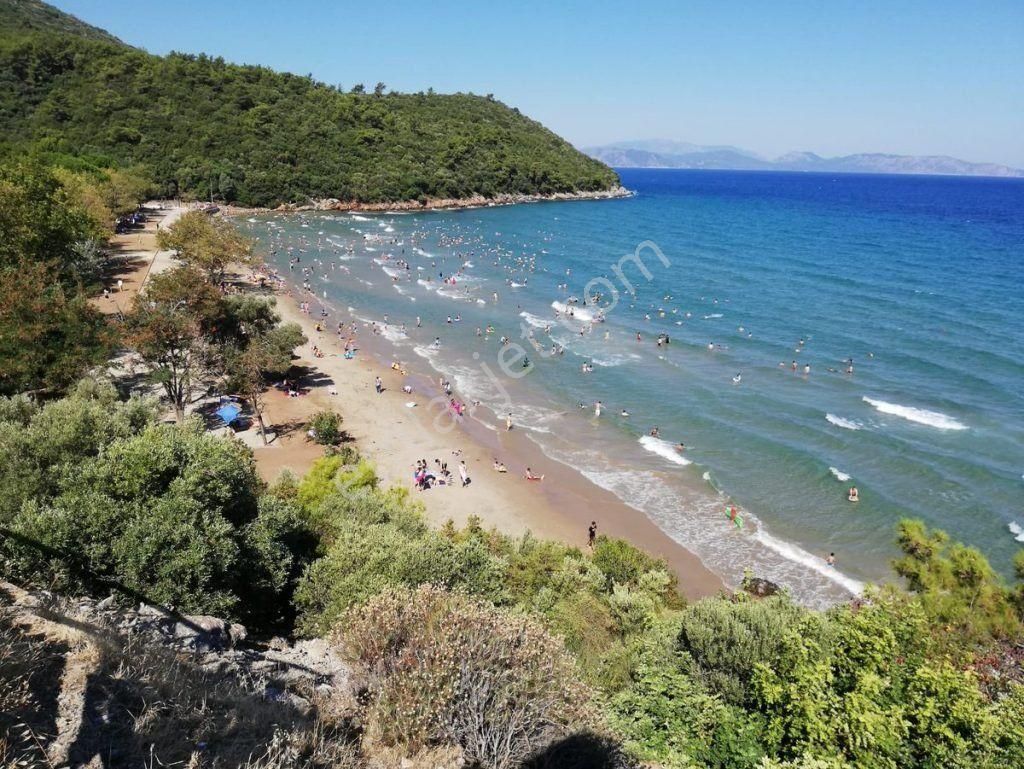 Kuşadası Güzelçamlıda Anayola Sıfır Fırsat Arsa - Görsel 17