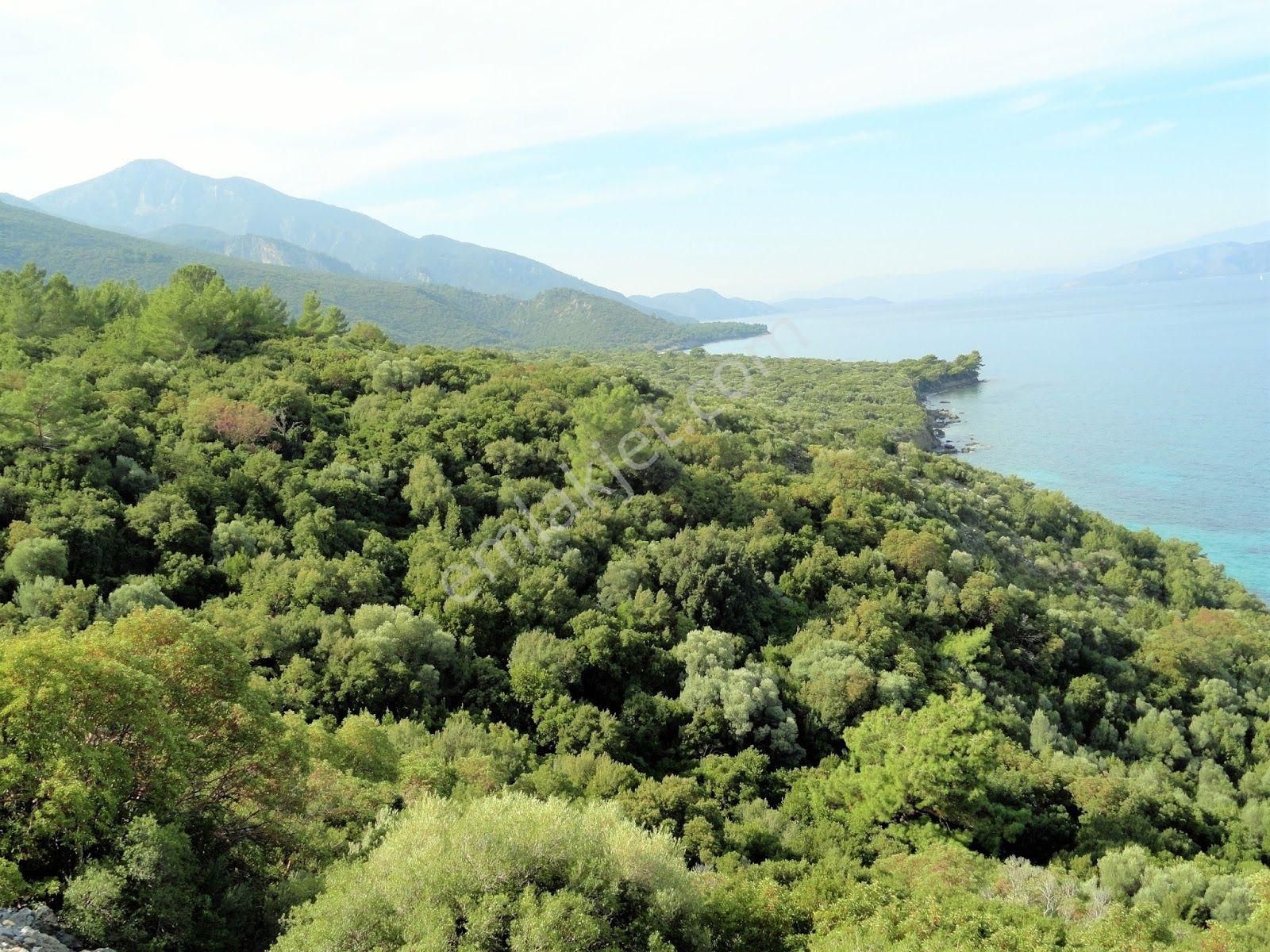 Kuşadası Güzelçamlıda Anayola Sıfır Fırsat Arsa - Görsel 12