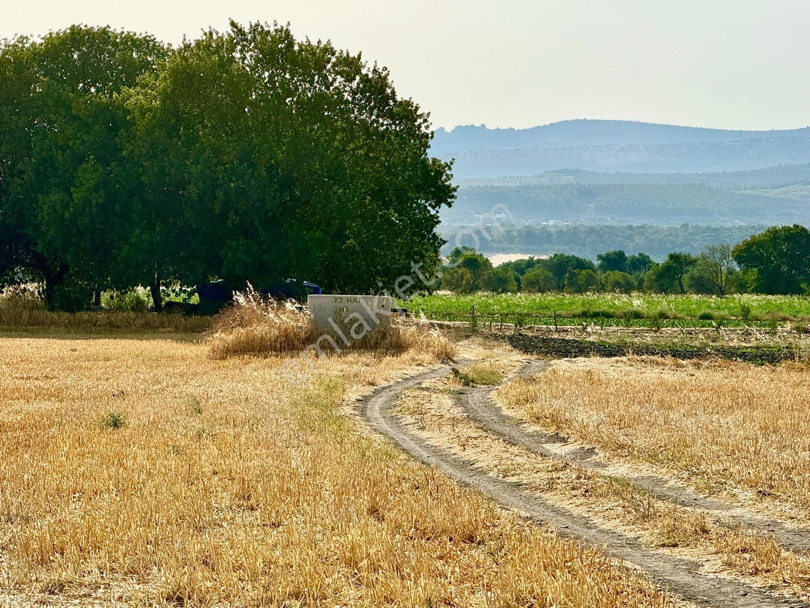 Saruhanlı Sarıçam Satılık Tarla MANİSA SARIÇAM ' DA 7.050 M2 TARLA , RESMİ YOLU VAR, SUYU VAR