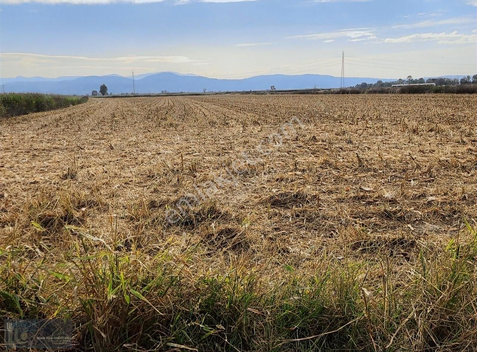 Serdivan Yazlık Satılık Tarla SAKARYA ADALI YAZLIK'TA TEK TAPULU 45.5 DÖNÜM YATIRIMLIK ARSA