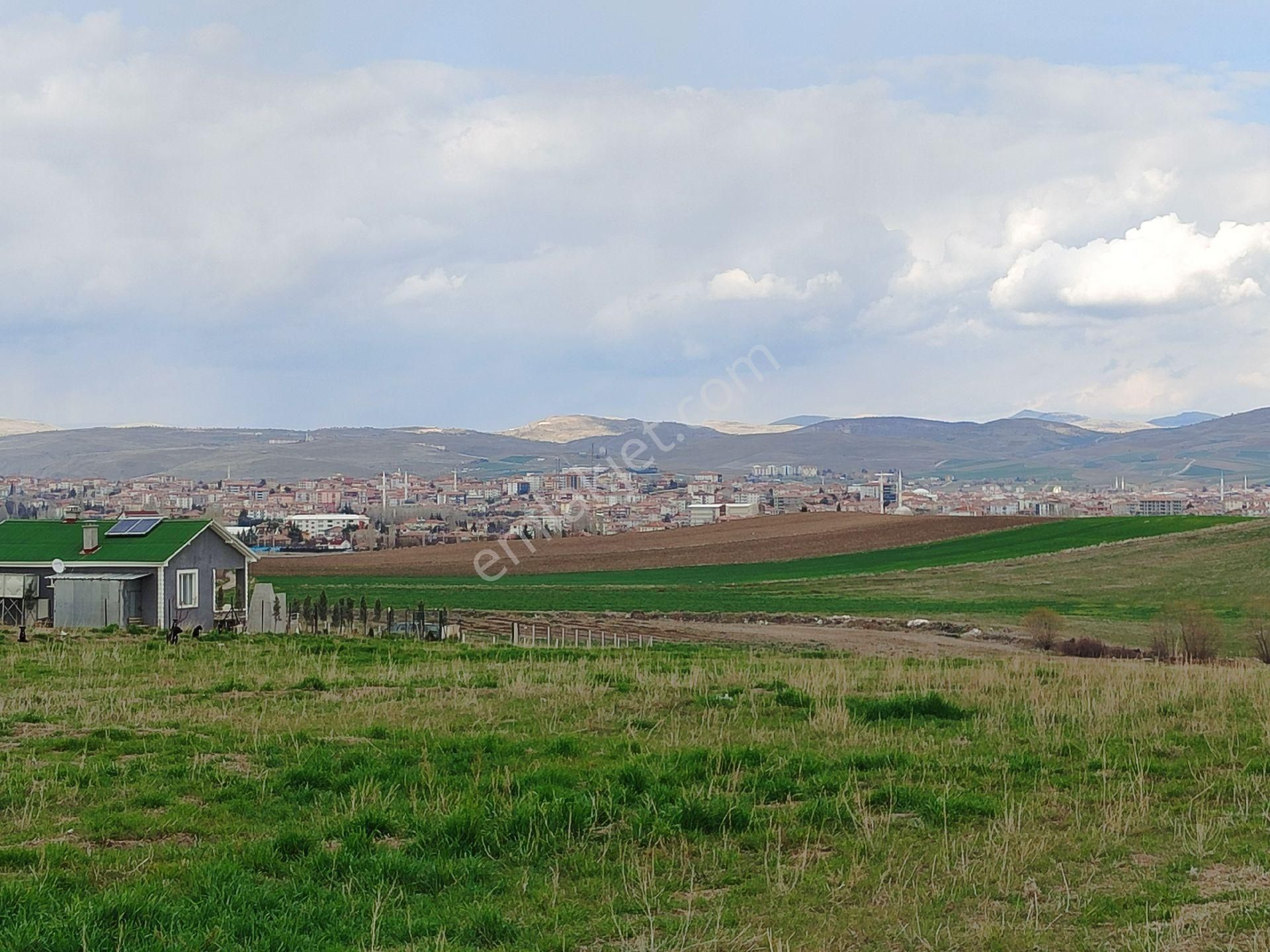 Çubuk Ağılcık Satılık Tarla Acill Yatırımlık Arsa