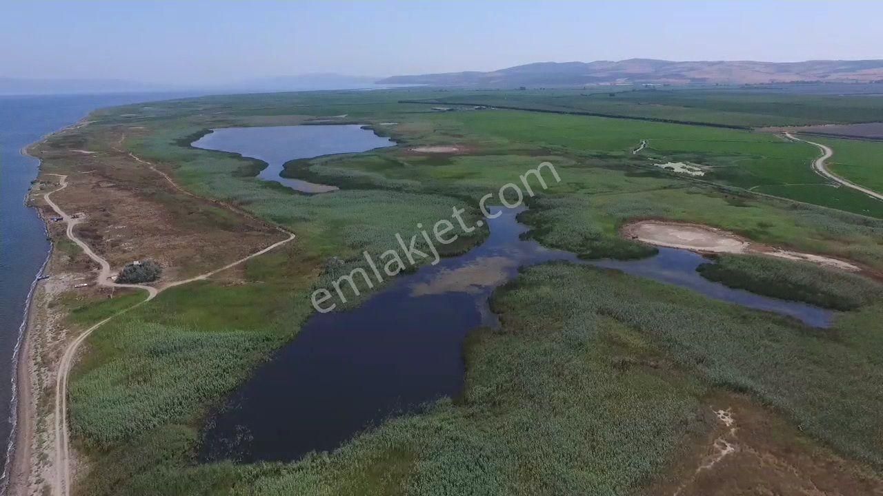 Gönen Çifteçeşmeler Satılık Arazi KOOPERATİF YÖNETİMİNDEN 736.065 m2 DENİZE SIFIR 1,5 KM KUM PLAJLI ARSA  