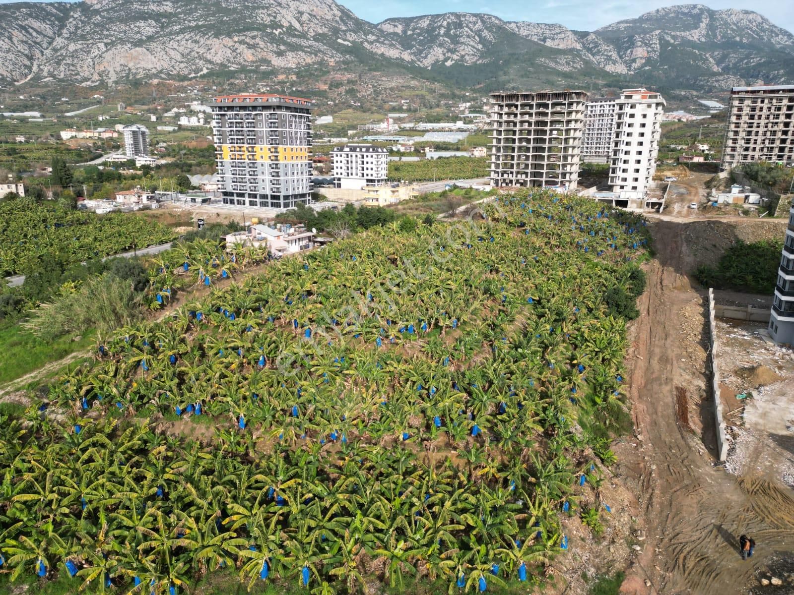 Alanya Mahmutlar Satılık Konut İmarlı  SAKOLIFE DAN DENİZ MANZARALI 9 KAT KONUT İMARLI ARSA