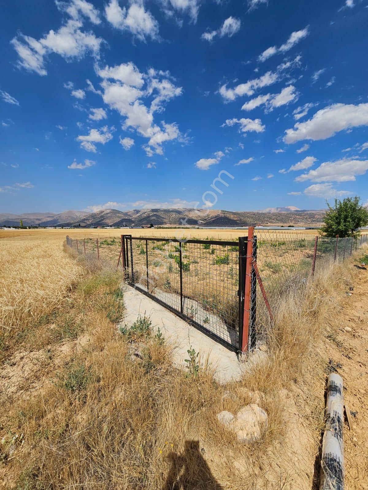 Antalya Elmalı Bozhüyük Mahalle Merkezine Yakın Mesafede 1.535m2 Satılık Üzüm Bağı - Görsel 6