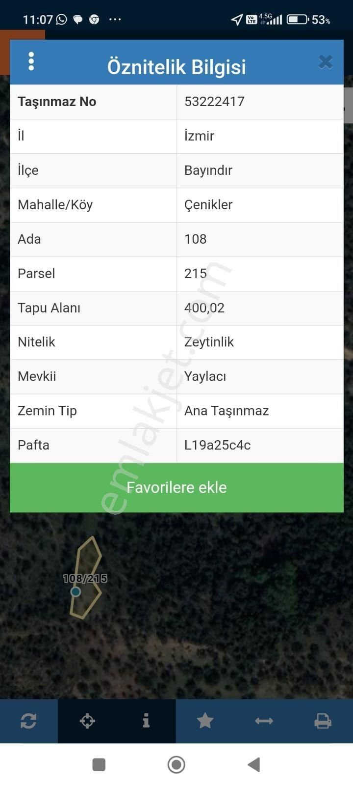Doğa'dan İzmir Bayındır'da Satılık Fırsat Zeytinlik - Görsel 10