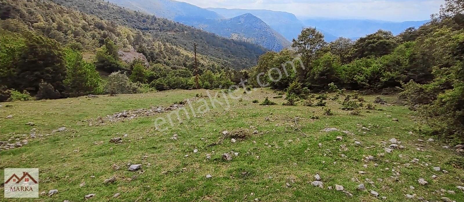 Amasya Merkez Direkli Köyü Satılık Bağ & Bahçe YENİCE ÜSTÜ DİREKLİ KÖYÜ MEVKİİ 4070 m2 BAHÇE