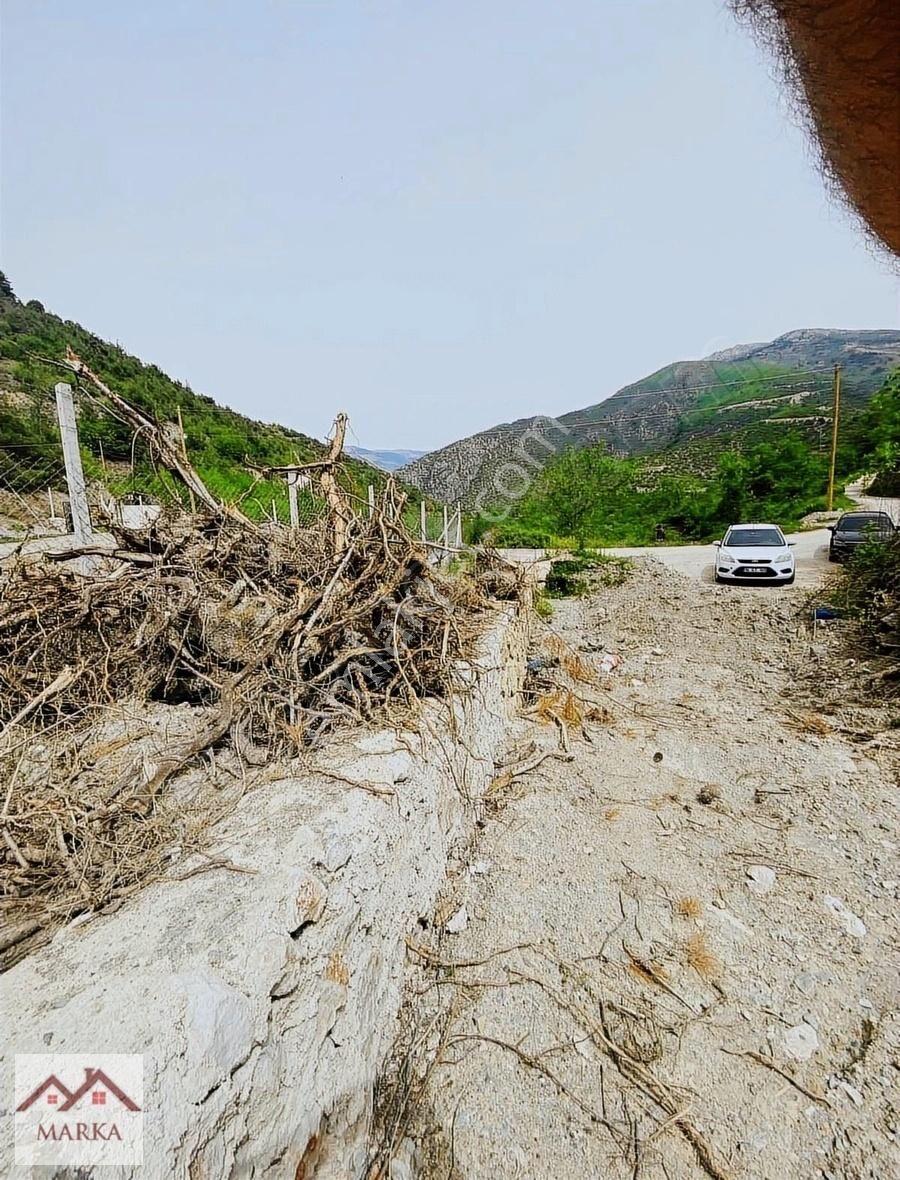 Amasya Merkez Yeşilyenice Satılık Bağ & Bahçe Marka dan yenice de yatırım fırsatı