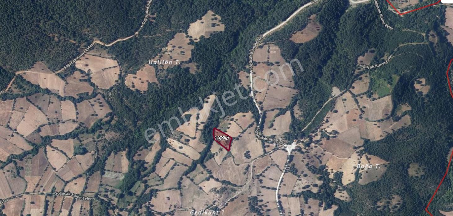 Yenice Soğucak Köyü Satılık Tarla  ÇANAKKALE YENİCE SOĞUCAK KÖYÜNDE 4.800 M2 SATILIK TARLA