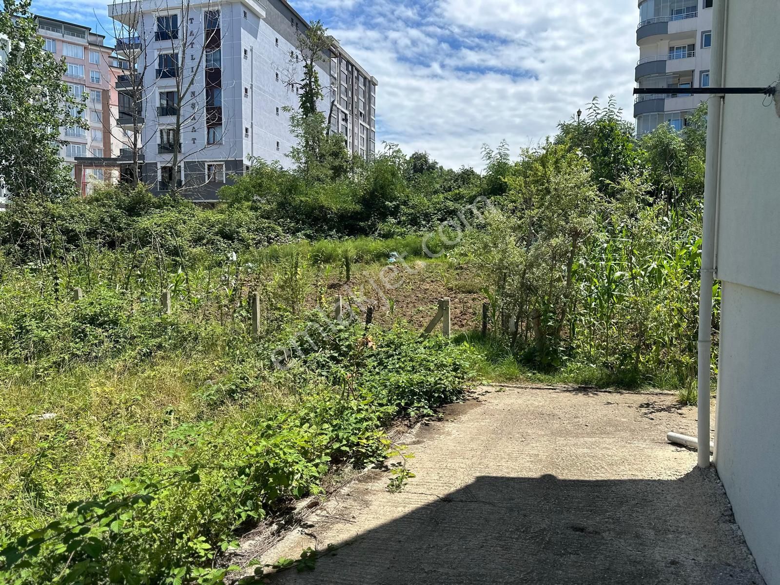 Satılık Arsa Ünye Atatürk Mahallesi 19 Adet 1+1 Daire Ya Da 11 Adet Çift Daire