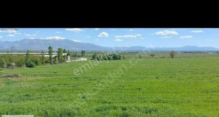 Battalgazi Boran Satılık Bağ & Bahçe Battalgazi boranda mükemmel konumda 