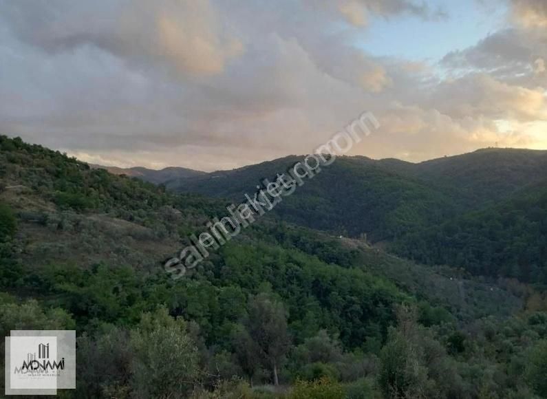 Güzelbahçe Payamlı Satılık Tarla MONAMİ'DEN GÜZELBAHÇE PAYAMLIDA YATIRIMLIK FIRSAT TARLA