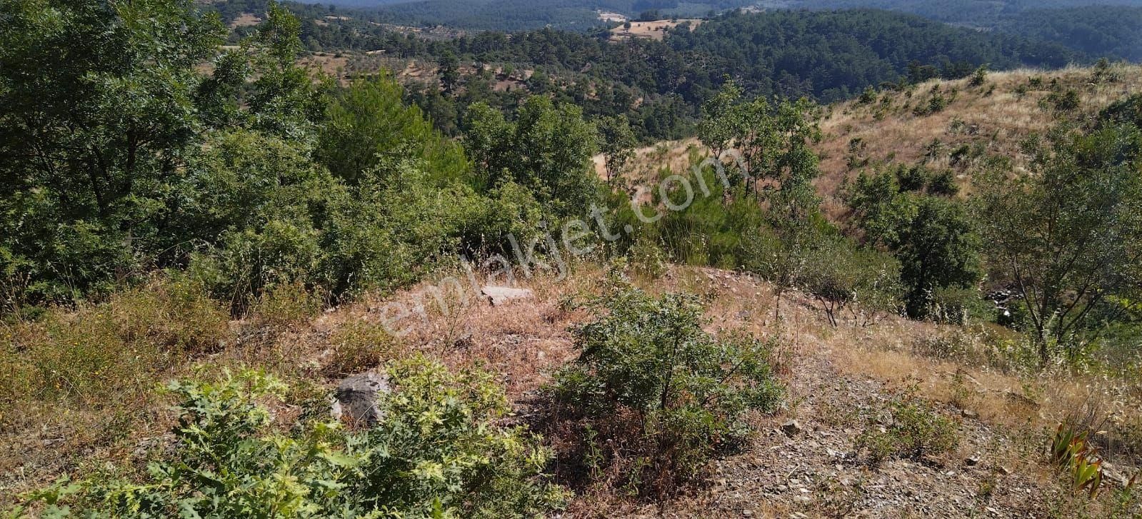 Menteşe Meke Satılık Tarla MUĞLA MENTEŞE MEKE  KÖY YERLEŞİM YERİNE 170 METRE MESAFEDE KADASTROL YOLU OLAN 800 M2 SATILIK ARAZİ 