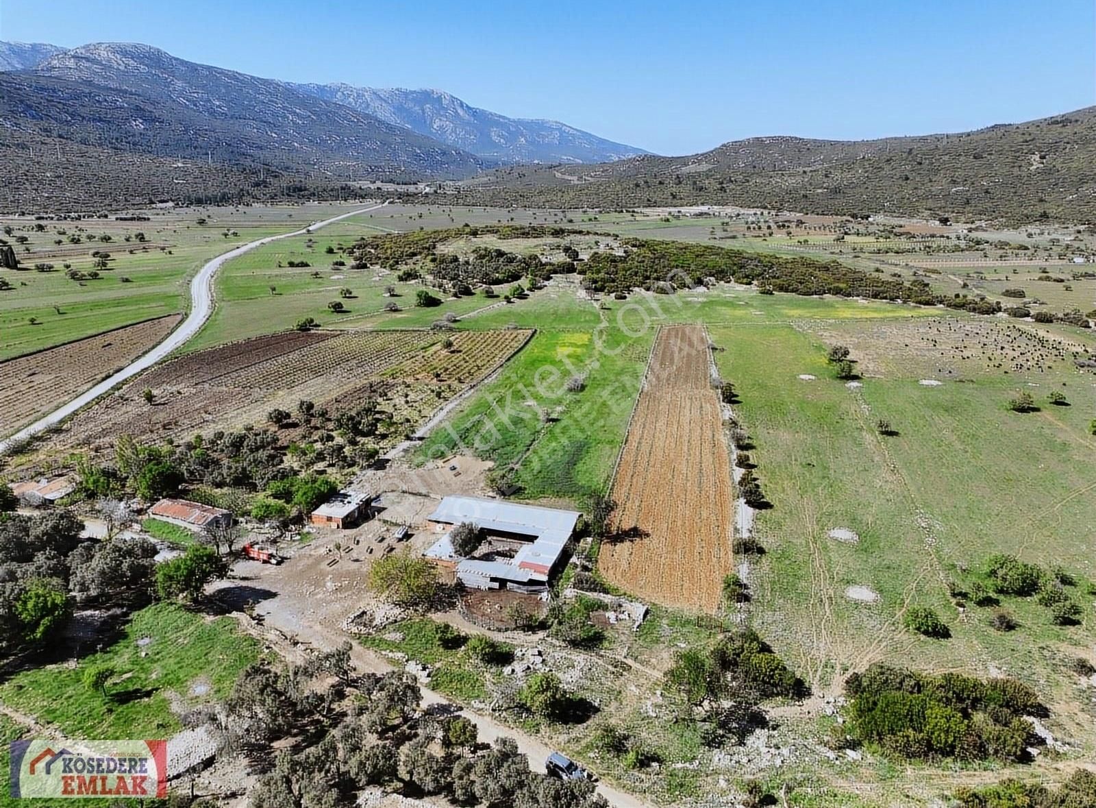 Karaburun Eğlenhoca Satılık Tarla SATILIK ÜZÜM BAĞI , BAĞ EVİ YAPABİLECEĞİNİZ TARLA