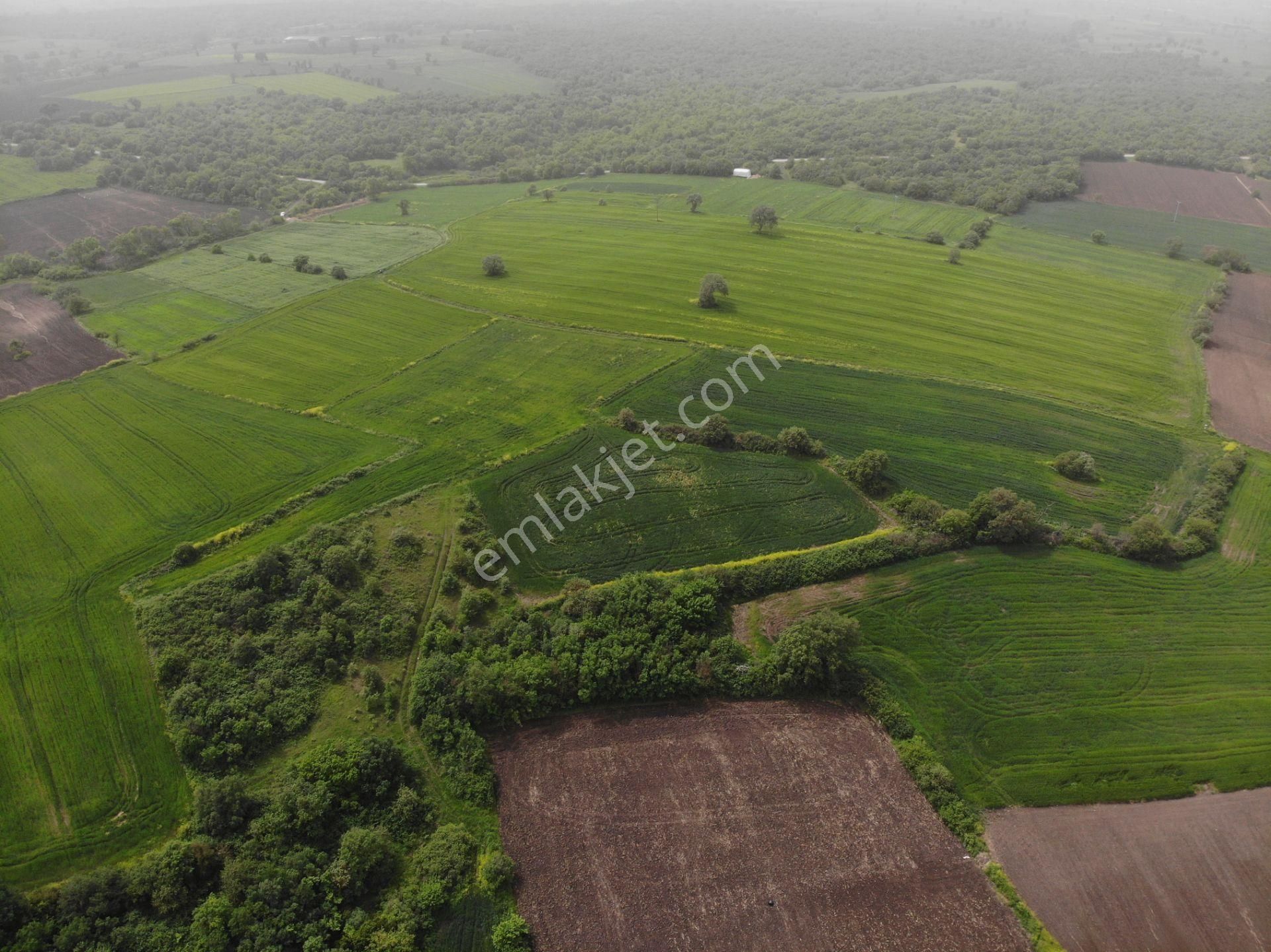 Biga Geyikkırı Köyü Satılık Tarla  ÇANAKKALE BİGA GEYİKKIRI KÖYÜ 15.850 M2 SATILIK TARLA